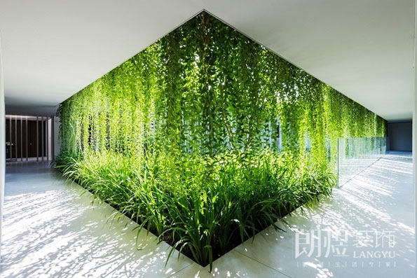 瑜伽馆植物墙装修效果图