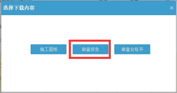 选择下载审查报告